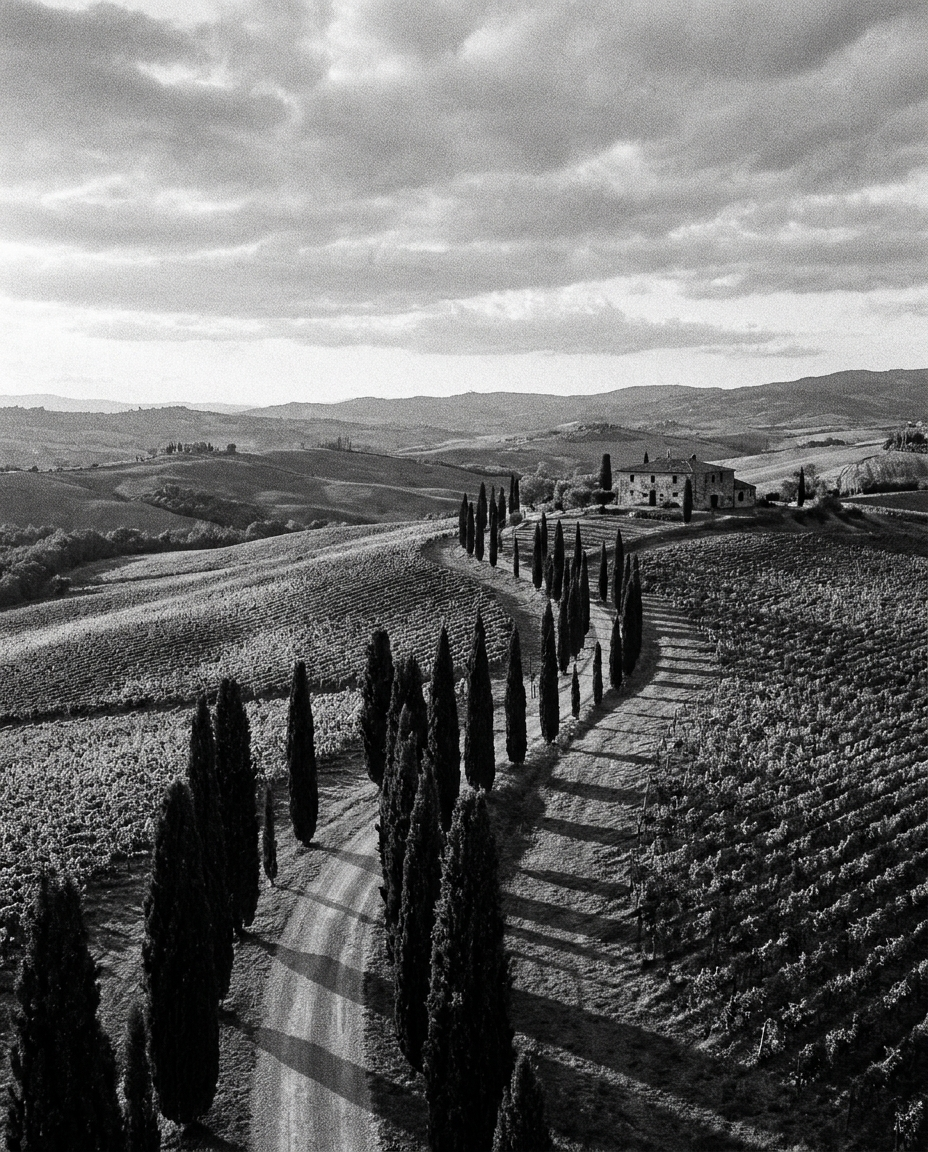 Tuscany private tour driver